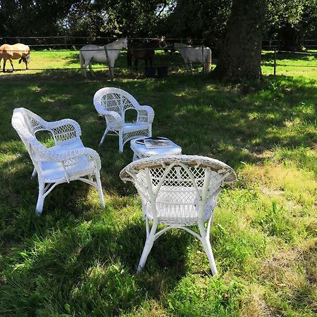 مبيت وإفطار Orsennes La Marquise Penchee المظهر الخارجي الصورة